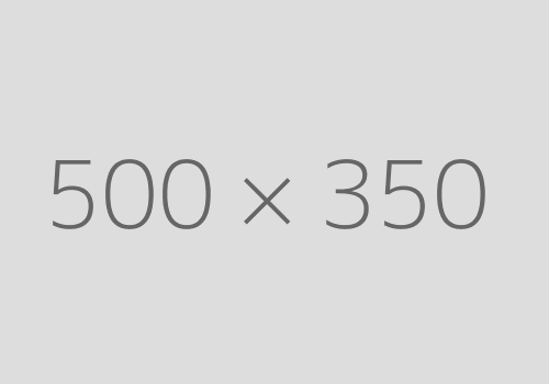 500x350 500x350